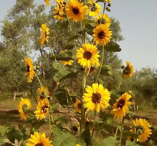 La Vatura 招待所 3*