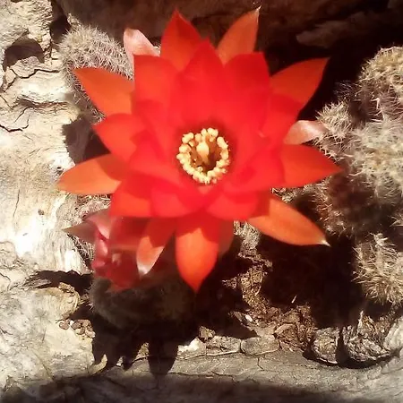 La Vatura Gasthuis Gialova