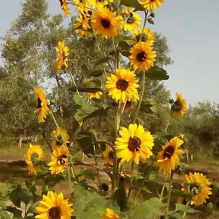 La Vatura Pensión 3*
