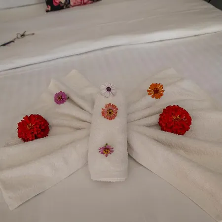 La Vatura Pensión 3*