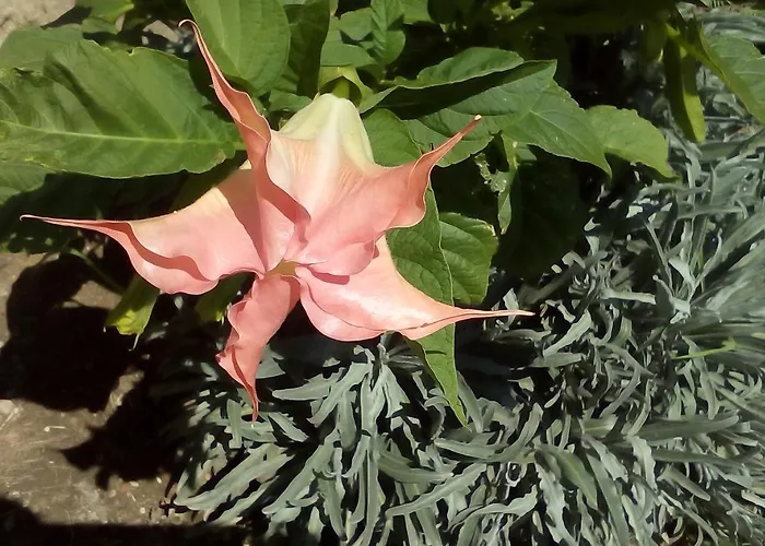 La Vatura 3* Gialova